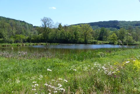 Derrière une prairie en fleurs, le lac de barrage et les environs plus lointains sous le soleil