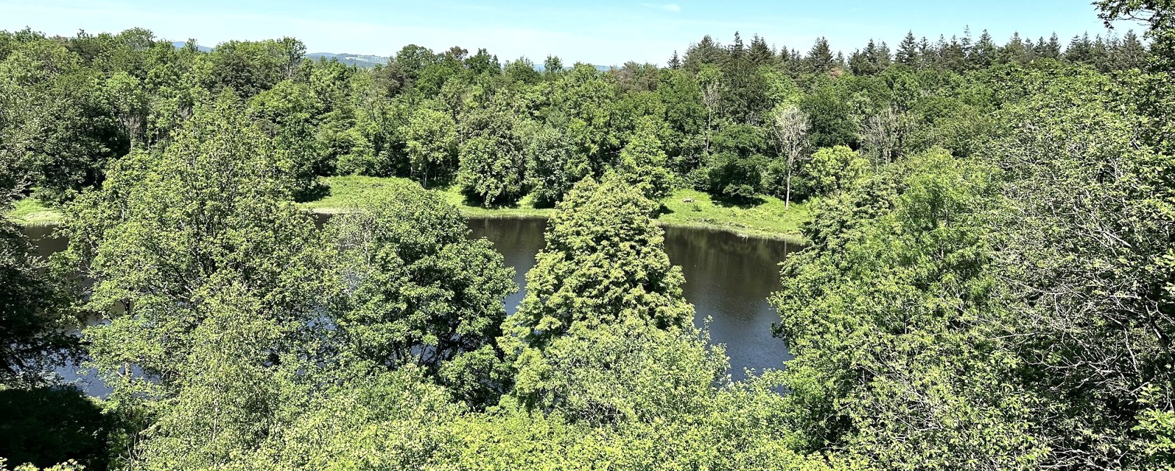 Heimatspur Kraterseen Mosenberg (6), © Eifel Tourismus GmbH