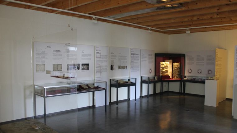 Une exposition avec plusieurs vitrines et des panneaux d'information riches en contenu. La pièce a un look moderne avec un plafond en bois et un sol gris.