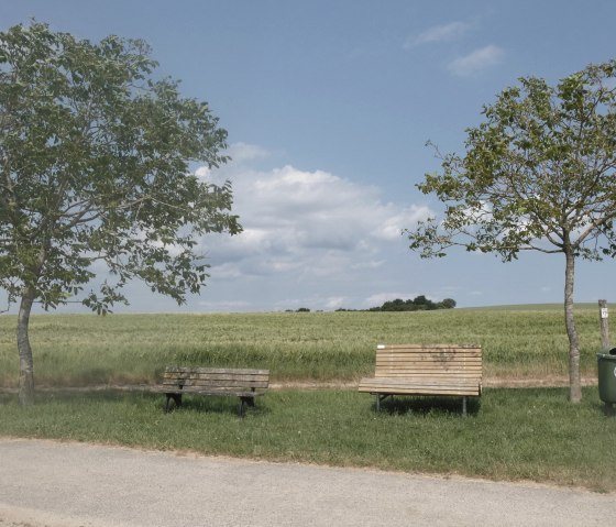 Zwei Bänke und ein Mülleimer stehen zwischen zwei Bäumen auf einem Rastplatz. Im Hintergrund ist ein grünes Feld unter blauem Himmel zu sehen., © TI Bitburger Land