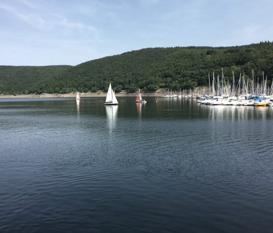 Vue sur le lac de la Roer avec des voiliers, © Eifel Tourismus GmbH