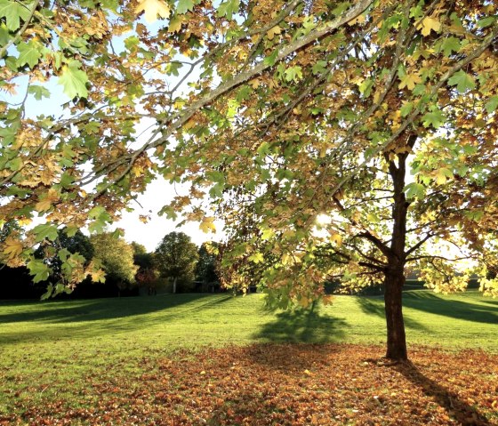 Parc municipal, © Werner Pelm