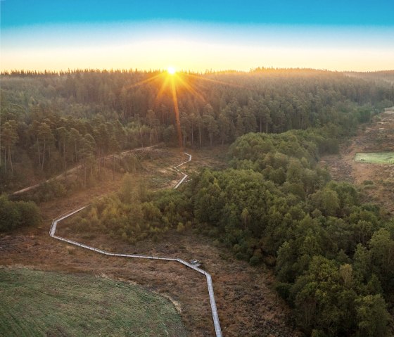 EifelSchleife veenpad, loopbrug in het zonlicht, © Nordeifel Tourismus GmbH, Paul Meixner