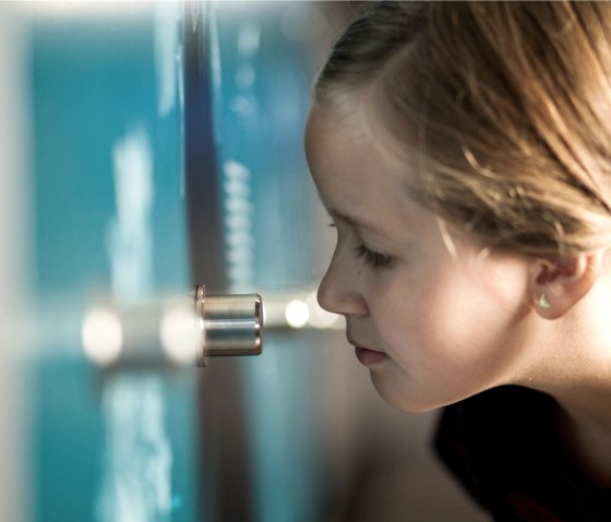 Enfant au mur des senteurs, © LVR-ZMBD. Schmitz