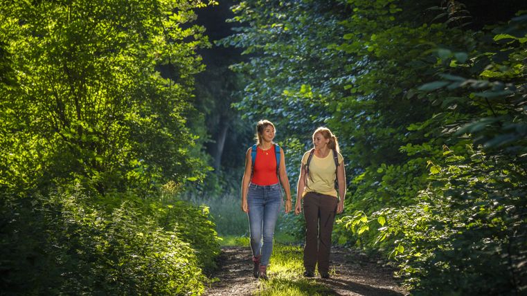 Twee vrouwen lopen over een bospad omringd door groene bomen.
