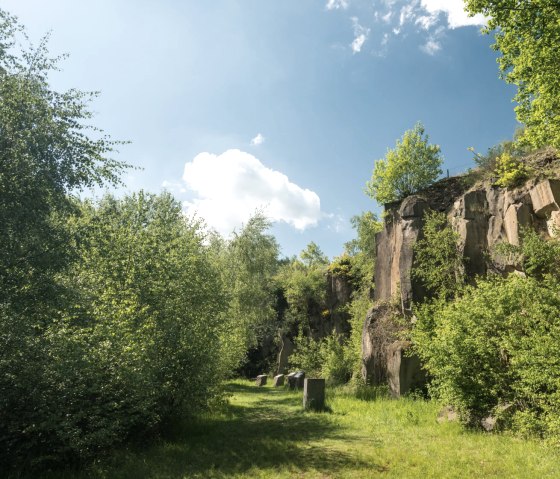 Rots in het Mayen mijnveld op het Vulkanpark fietspad, © Rheinland-Pfalz Tourismus GmbH, D. Ketz