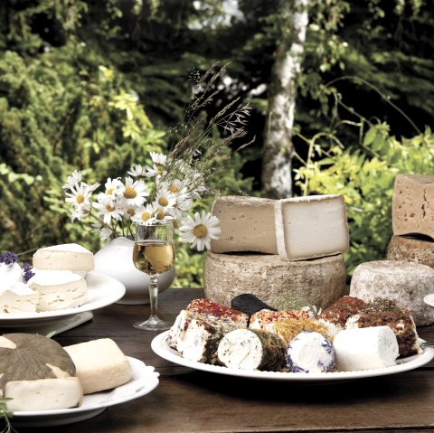 Toute notre gamme de fromages