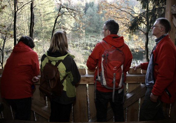 Observation du castor en soirée