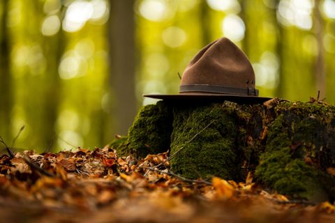 A hat lies on a moss-covered tree stump in an autumn forest. The surroundings are covered with colorful leaves and the light is soft.