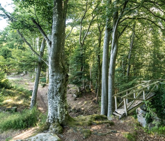 Sentier de randonnée idyllique à l'abbaye de Schankweiler sur le Klausnerweg, © Eifel Tourismus GmbH, D. Ketz