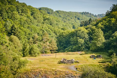 Vue sur les restes des murs des ruines dans la vallée du Kaulenbach. Une prairie verte et des arbres verts sont visibles tout autour.