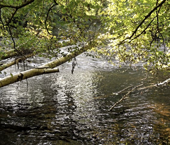 De Rur komt ook langs, © Karl-Heinz Rosenzweig, Der-eifelyeti.de, © Der-eifelyeti.de