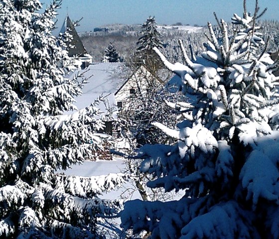 View from the SZ