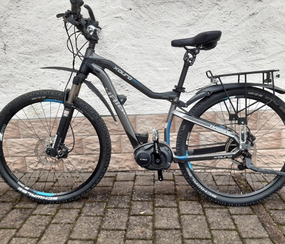 Herren E-Bike