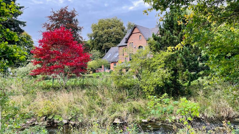 A quiet house by the bank of a small river, surrounded by green trees and colorful autumn leaves. A red tree stands out particularly.