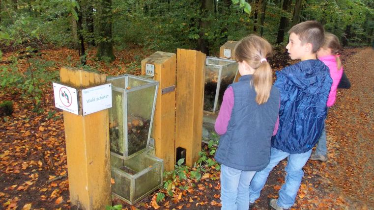 Kinderen op een bosbelevingsstation in het bos.