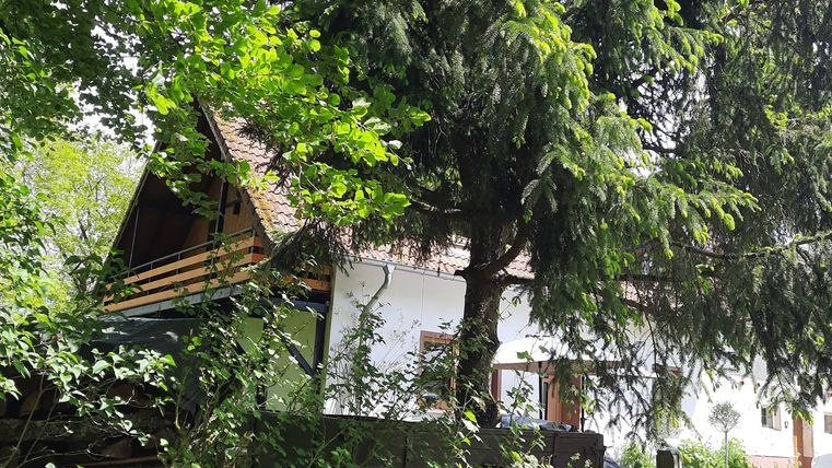 Een gezellig huis, omringd door bomen en dicht groen. De lucht is helder en de natuur lijkt uitnodigend.