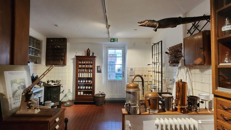 A historic kitchen with wooden cabinets and various utensils. On one side, a lifelike reptile head can be seen hanging on the wall.