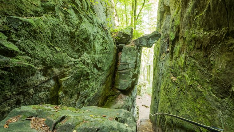 Smalle kloof met met mos bedekte rotswanden en een smal pad.