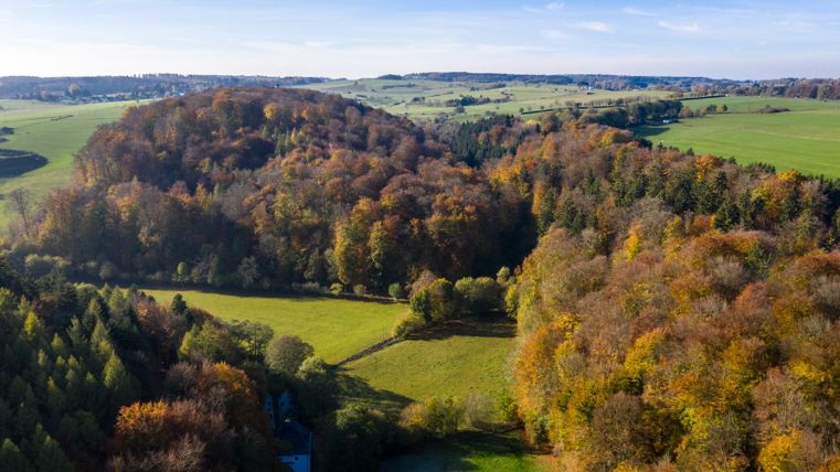 Luchtfoto van een herfstvallei met kleurrijk gebladerte en groene weiden.