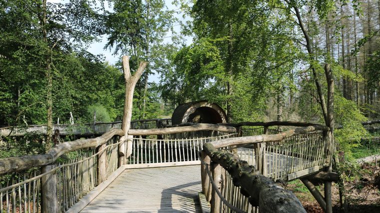 Een mooi houten pad met leuning. Omgeven door groene bomen en een rustige omgeving.
