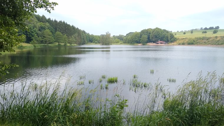 Der Blick auf den Stausee und die angrenzenden Wälder und Wiesen