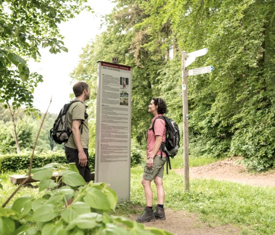 Weisshauswald - bestemming van de Eifelsteig, © Eifel Tourismus GmbH, D. Ketz
