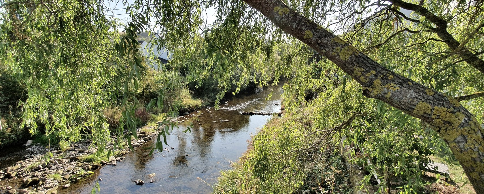 Ein ruhiger Fluss fließt unter einem Baum mit hängenden Ästen und grünem Laub. Sonnenlicht fällt durch die Blätter., © TI Bitburger Land
