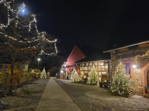 Eine festlich beleuchtete Straße mit dekorierten Fichtenbäumen. Im Hintergrund sind charmante Gebäude in der Nacht zu sehen.