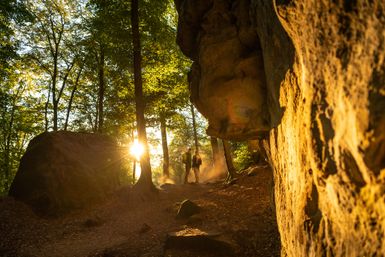 Sonnenlicht fällt stimmungsvoll durch hohe Bäume in der Teufelsschlucht; zwei Personen wandern auf einem schmalen Pfad zwischen moosbedeckten Felsen und steilen Felswänden. 