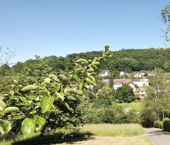 View of the village of Hüttingen, nestled in a green landscape with trees and meadows under a clear blue sky., © TI Bitburger Land