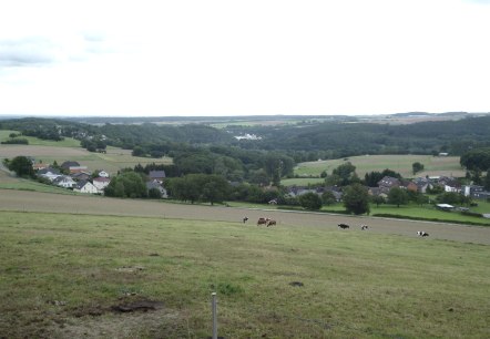 Vue sur l'Eifel "Schafsbenden, © Rureifel-Tourismus e.V.
