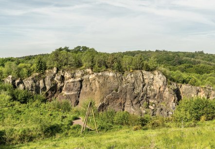 Blick auf den Vulkangarten Steffeln, © Eifel Tourismus GmbH, Dominik Ketz