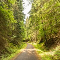 Radweg in der Eifel, © Eifel Tourismus GmbH, Dominik Ketz