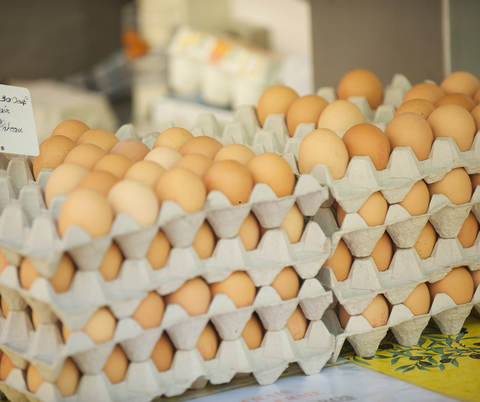 Plusieurs palettes d'œufs garnies sont empilées et sont à vendre.