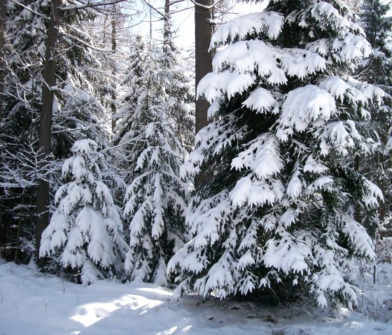 Winterbilder, © Nordeifel Tourismus GmbH  & Haus am Hahnenberg
