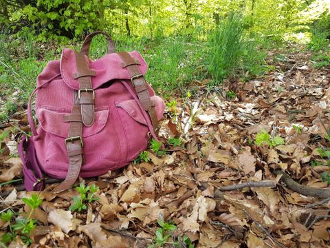A red backpack lies on a leaf-covered ground in the forest. Fresh grass and small plants grow around it.