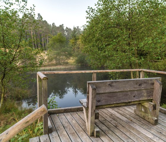 EifelSchleife heideweg, bank op loopbrug met uitzicht op het water, © Nordeifel Tourismus GmbH, Paul Meixner
