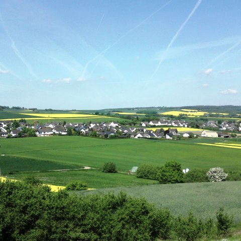 dsc00533