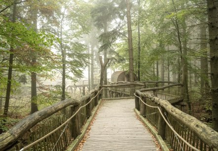 Wilder Weg, © Nationalparkverwaltung Eifel, D. Ketz