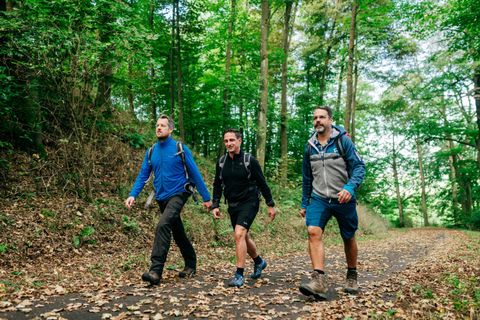 Drei Männer wandern auf einem Pfad im Wald. Die Umgebung ist grün und von Bäumen umgeben.