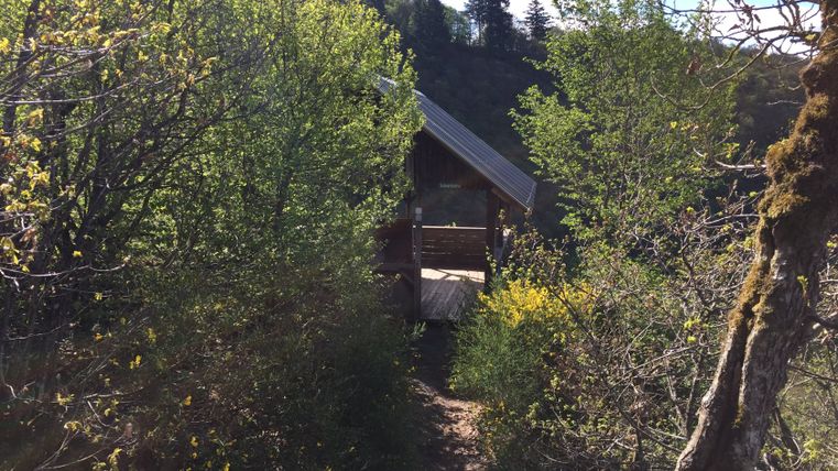 A wooden hut on a forest path, surrounded by trees and bushes.