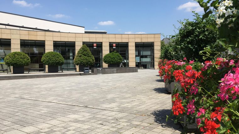 A beautiful outdoor area with blooming plants and large green spaces. In the background, a modern building is visible under a clear sky.