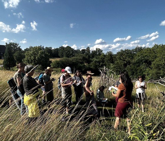 Wildkräuterwanderung 1