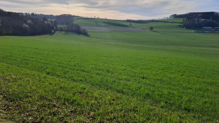 Blick ins Tal