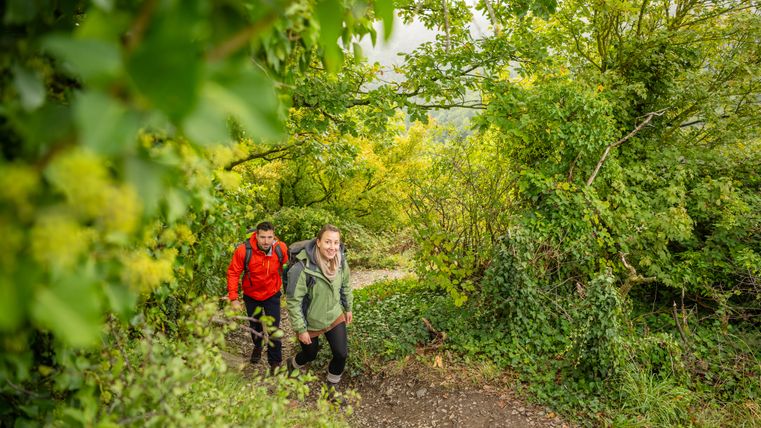 Zwei Wanderer auf einem Waldweg, umgeben von üppigem Grün.