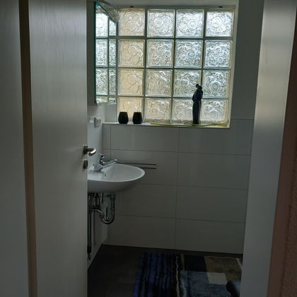 Een moderne badkamer met een wastafel en stijlvolle decoraties. Lichtovergoten door een raam van glasblokken.
