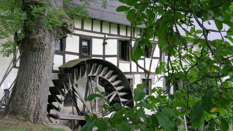 Fachwerkhaus mit Mühlenrad und Baum im Vordergrund.