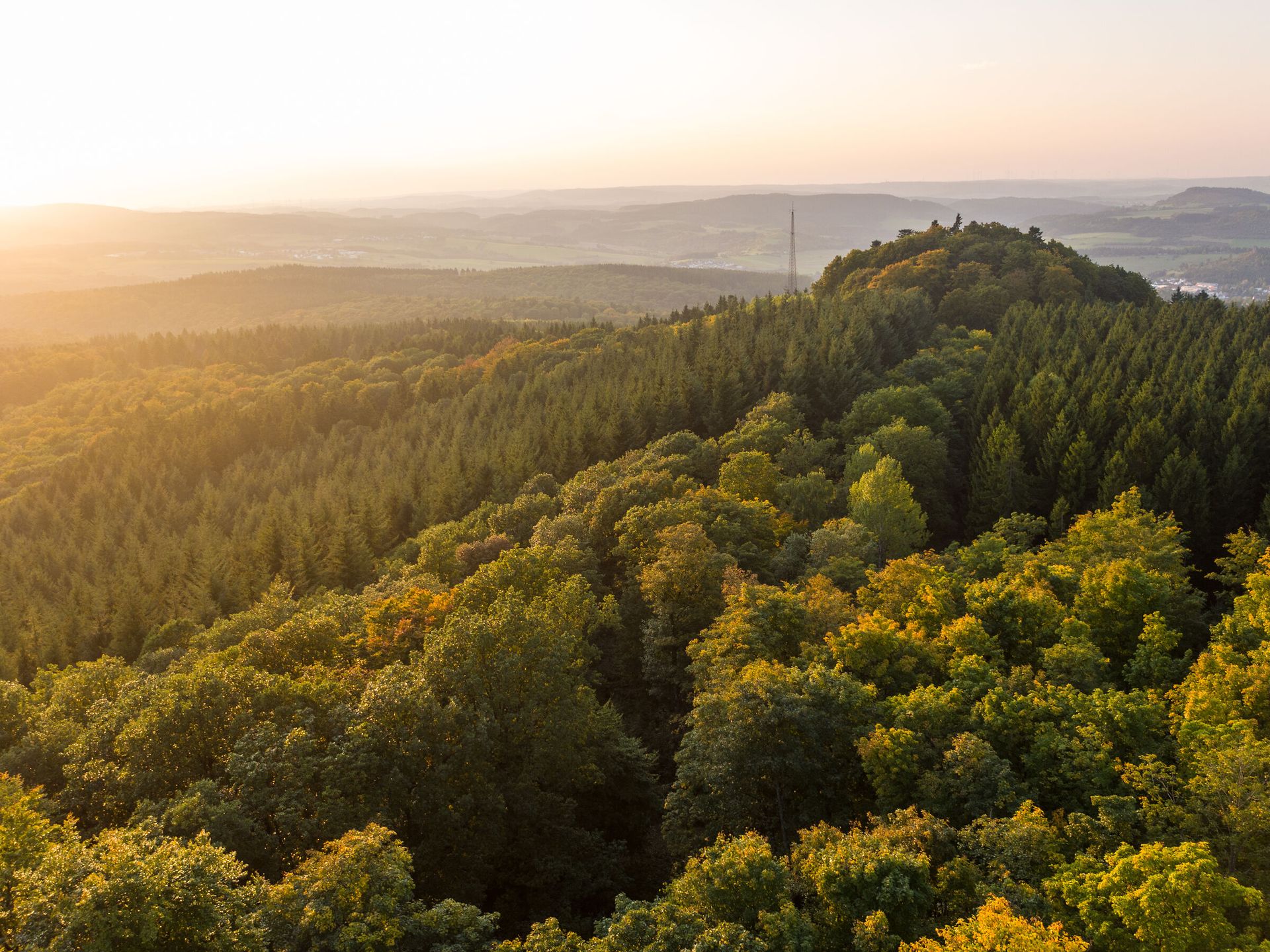 Blick auf die bewaldete vulkanische Bergkuppe Dietzenley
