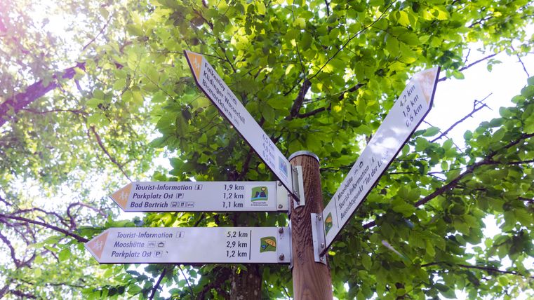 Wegweiser im Wald mit grünen Blättern im Hintergrund.